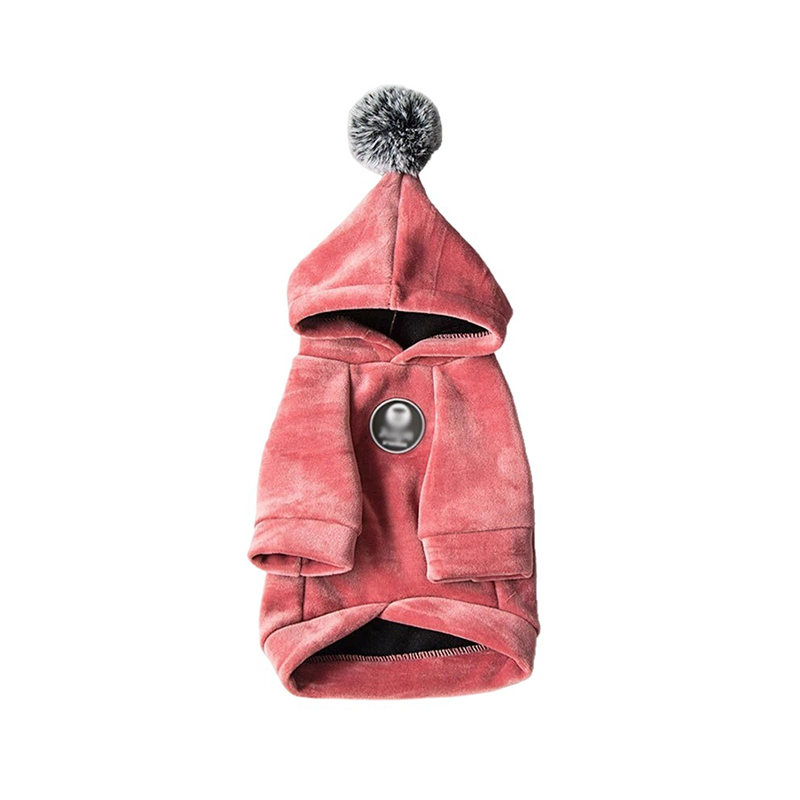 Veste d'hiver pour chien et animal de compagnie Vêtements 