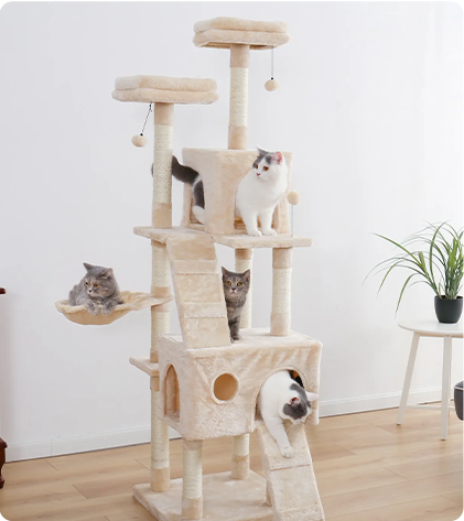 Cadre d'escalade pour chat