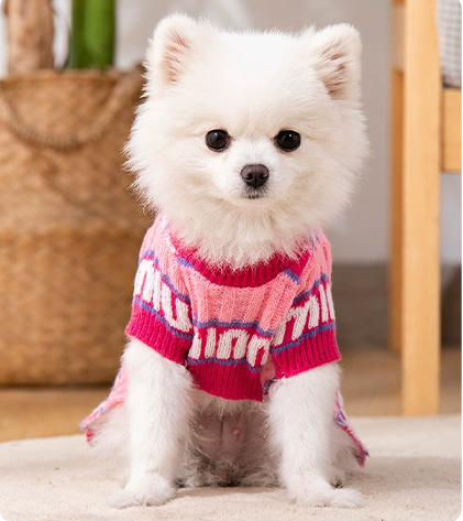 Vêtements pour chiens et chats