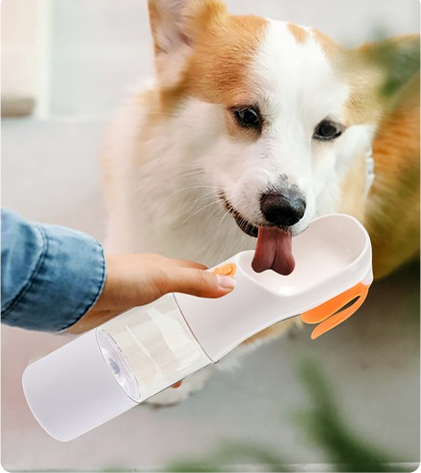 Alimentation en eau pour chiens et chats