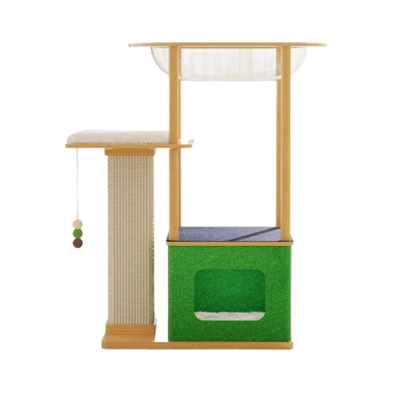 Maison à ossature d'escalade pour chat d'intérieur
