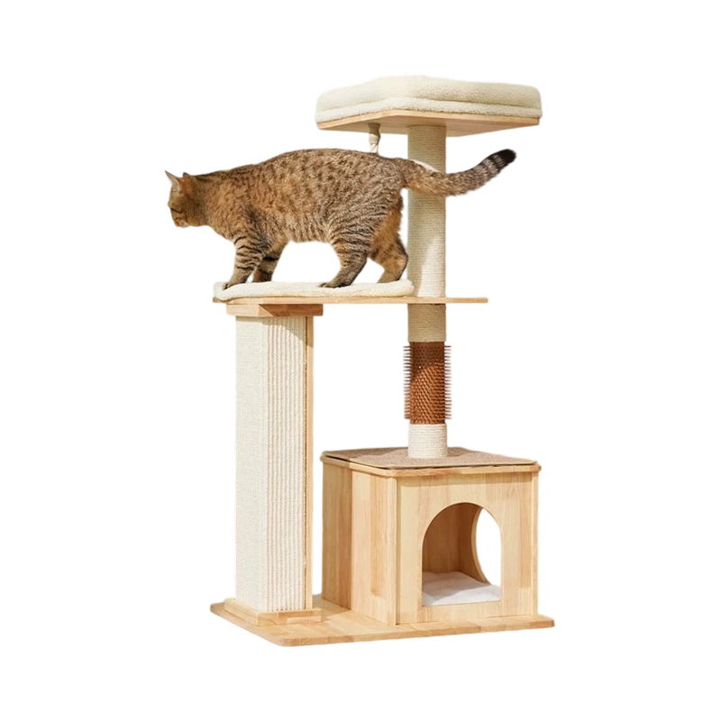 Maison de jeu intérieure pour chat